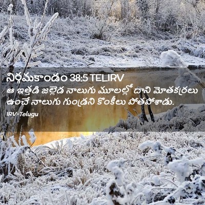 Picture 02 - నిర్గమకాండం 38:5 TELIRV - ఆ ఇత్తడి జల్లెడ - Bible Verse Picture