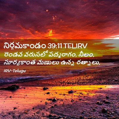 Picture 02 - నిర్గమకాండం 39:11 TELIRV - రెండవ వరుసలో - Bible Verse Picture