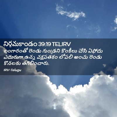 Picture 02 - నిర్గమకాండం 39:19 TELIRV - బంగారంతో రెండు - Bible Verse Picture