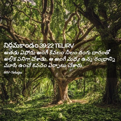 Picture 02 - నిర్గమకాండం 39:22 TELIRV - అతడు ఏఫోదు అంగీ - Bible Verse Picture