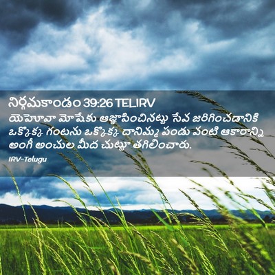 Picture 02 - నిర్గమకాండం 39:26 TELIRV - యెహోవా మోషేకు - Bible Verse Picture