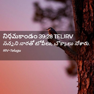 Picture 02 - నిర్గమకాండం 39:28 TELIRV - సన్నని నారతో - Bible Verse Picture
