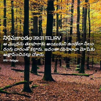 Picture 02 - నిర్గమకాండం 39:31 TELIRV - ఆ ముద్రను - Bible Verse Picture