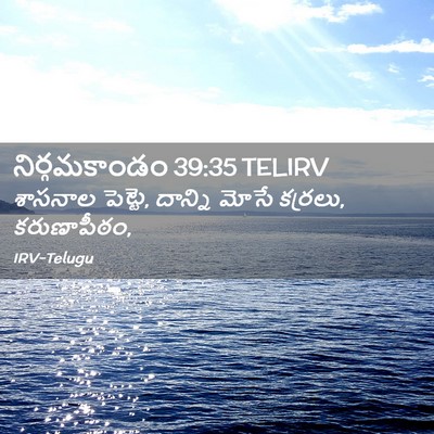 Picture 02 - నిర్గమకాండం 39:35 TELIRV - శాసనాల పెట్టె, - Bible Verse Picture