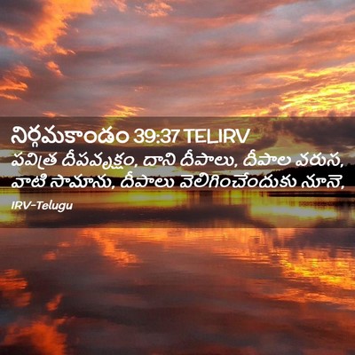 Picture 02 - నిర్గమకాండం 39:37 TELIRV - పవిత్ర దీపవృక్షం, - Bible Verse Picture