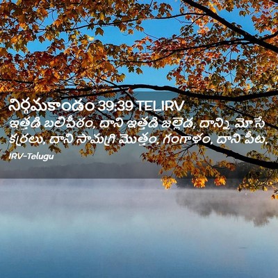Picture 02 - నిర్గమకాండం 39:39 TELIRV - ఇత్తడి బలిపీఠం, - Bible Verse Picture