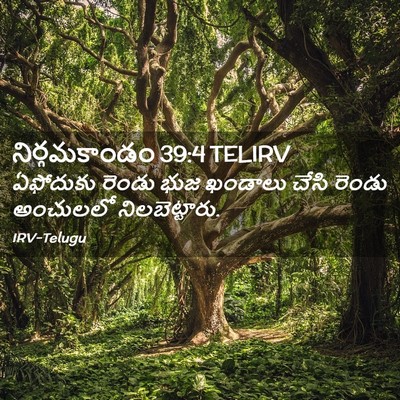 Picture 02 - నిర్గమకాండం 39:4 TELIRV - ఏఫోదుకు రెండు భుజ - Bible Verse Picture