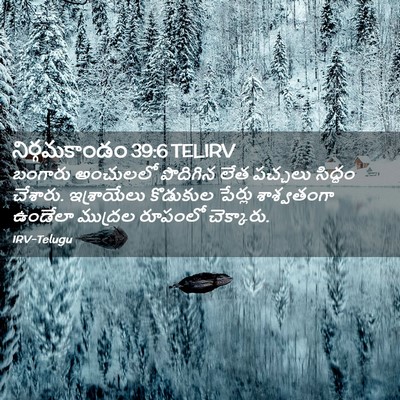 Picture 02 - నిర్గమకాండం 39:6 TELIRV - బంగారు అంచులలో - Bible Verse Picture