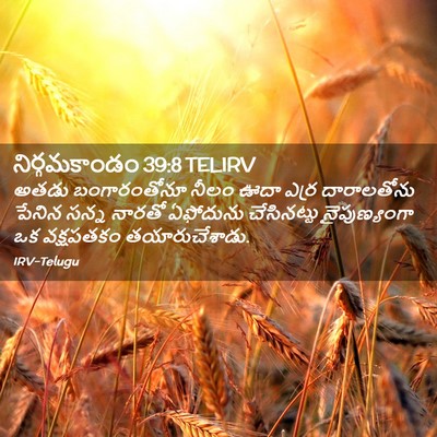 Picture 02 - నిర్గమకాండం 39:8 TELIRV - అతడు బంగారంతోనూ - Bible Verse Picture