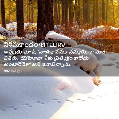 Picture 02 - నిర్గమకాండం 4:1 TELIRV - అప్పుడు మోషే - Bible Verse Picture