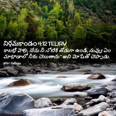 Picture 02 - నిర్గమకాండం 4:12 TELIRV - కాబట్టి వెళ్లు, - Bible Verse Picture