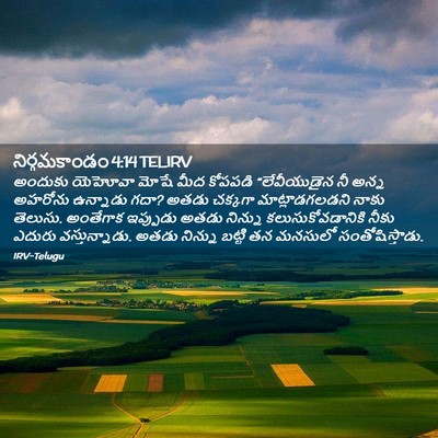Picture 02 - నిర్గమకాండం 4:14 TELIRV - అందుకు యెహోవా - Bible Verse Picture