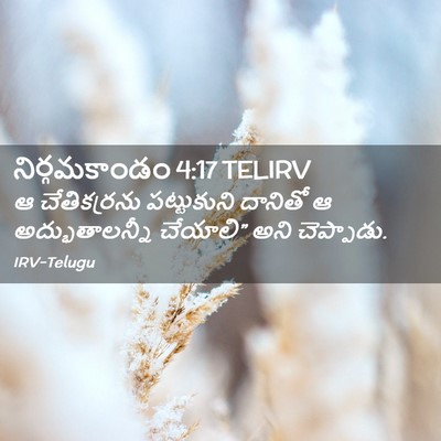 Picture 02 - నిర్గమకాండం 4:17 TELIRV - ఆ చేతికర్రను - Bible Verse Picture
