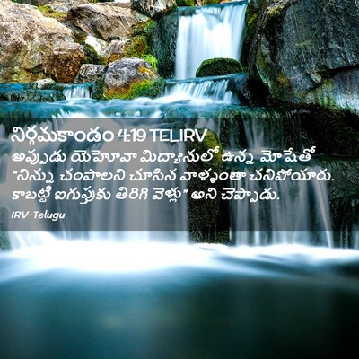 Picture 02 - నిర్గమకాండం 4:19 TELIRV - అప్పుడు యెహోవా - Bible Verse Picture