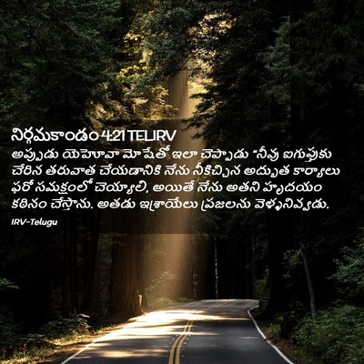 Picture 02 - నిర్గమకాండం 4:21 TELIRV - అప్పుడు యెహోవా - Bible Verse Picture