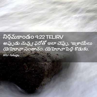 Picture 02 - నిర్గమకాండం 4:22 TELIRV - అప్పుడు నువ్వు - Bible Verse Picture