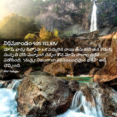 Picture 02 - నిర్గమకాండం 4:25 TELIRV - మోషే భార్య - Bible Verse Picture
