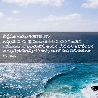 Picture 02 - నిర్గమకాండం 4:28 TELIRV - అప్పుడు మోషే - Bible Verse Picture