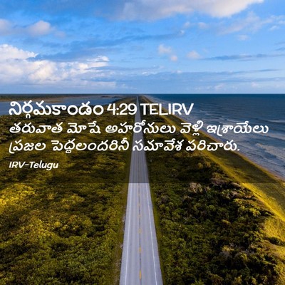 Picture 02 - నిర్గమకాండం 4:29 TELIRV - తరువాత మోషే - Bible Verse Picture