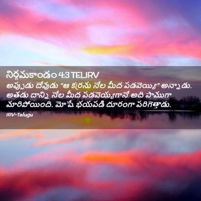 Picture 02 - నిర్గమకాండం 4:3 TELIRV - అప్పుడు దేవుడు “ఆ - Bible Verse Picture