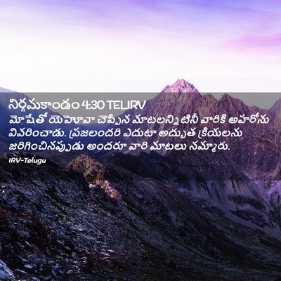 Picture 02 - నిర్గమకాండం 4:30 TELIRV - మోషేతో యెహోవా - Bible Verse Picture