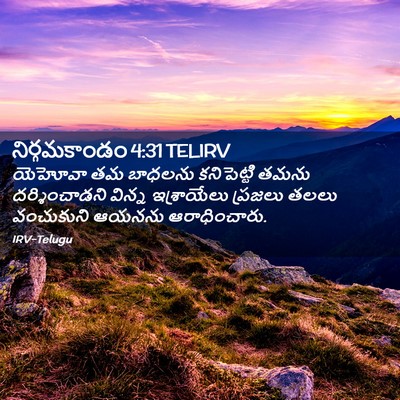 Picture 02 - నిర్గమకాండం 4:31 TELIRV - యెహోవా తమ బాధలను - Bible Verse Picture