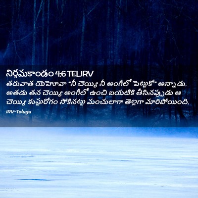Picture 02 - నిర్గమకాండం 4:6 TELIRV - తరువాత యెహోవా “నీ - Bible Verse Picture