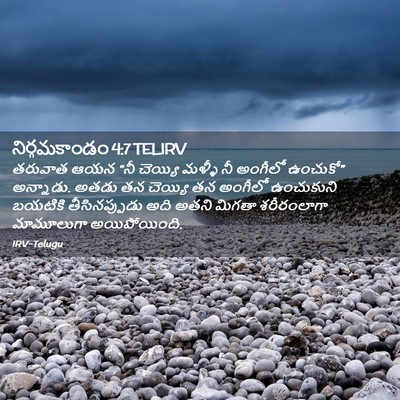 Picture 02 - నిర్గమకాండం 4:7 TELIRV - తరువాత ఆయన “నీ - Bible Verse Picture