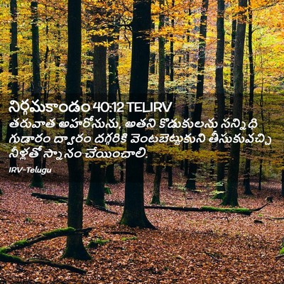 Picture 02 - నిర్గమకాండం 40:12 TELIRV - తరువాత అహరోనును, - Bible Verse Picture