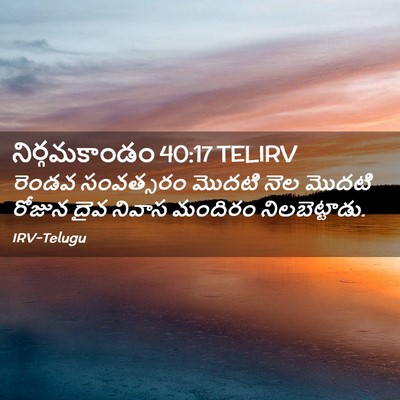 Picture 02 - నిర్గమకాండం 40:17 TELIRV - రెండవ సంవత్సరం - Bible Verse Picture