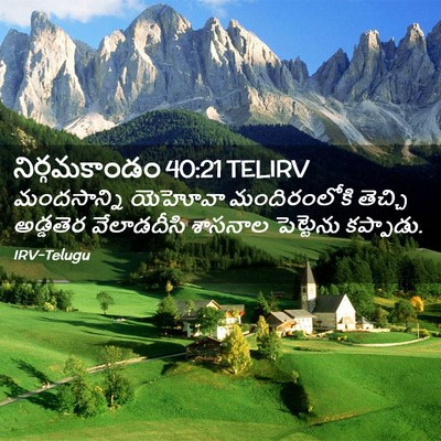 Picture 02 - నిర్గమకాండం 40:21 TELIRV - మందసాన్ని యెహోవా - Bible Verse Picture