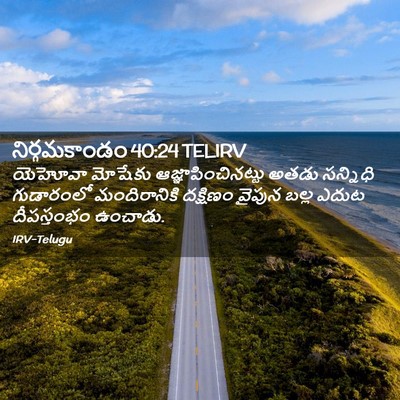 Picture 02 - నిర్గమకాండం 40:24 TELIRV - యెహోవా మోషేకు - Bible Verse Picture