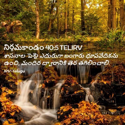 Picture 02 - నిర్గమకాండం 40:5 TELIRV - శాసనాల పెట్టె - Bible Verse Picture