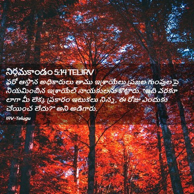 Picture 02 - నిర్గమకాండం 5:14 TELIRV - ఫరో ఆస్థాన - Bible Verse Picture