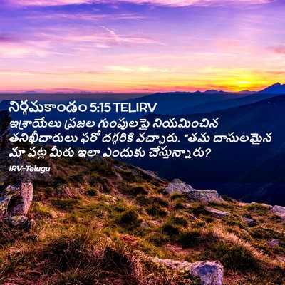 Picture 02 - నిర్గమకాండం 5:15 TELIRV - ఇశ్రాయేలు ప్రజల - Bible Verse Picture