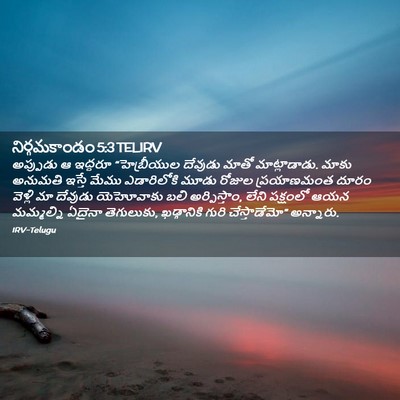 Picture 02 - నిర్గమకాండం 5:3 TELIRV - అప్పుడు ఆ ఇద్దరూ - Bible Verse Picture