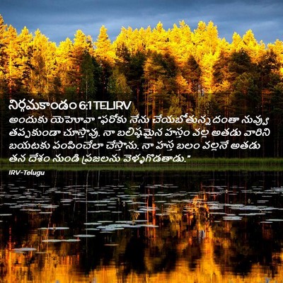 Picture 02 - నిర్గమకాండం 6:1 TELIRV - అందుకు యెహోవా - Bible Verse Picture