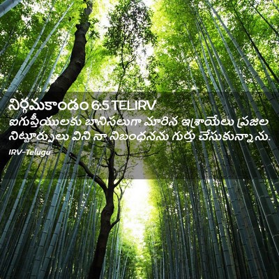 Picture 02 - నిర్గమకాండం 6:5 TELIRV - ఐగుప్తీయులకు - Bible Verse Picture