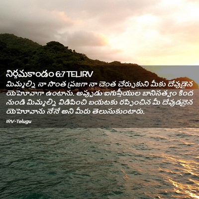 Picture 02 - నిర్గమకాండం 6:7 TELIRV - మిమ్మల్ని నా సొంత - Bible Verse Picture