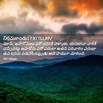 Picture 02 - నిర్గమకాండం 7:10 TELIRV - మోషే, అహరోనులు ఫరో - Bible Verse Picture