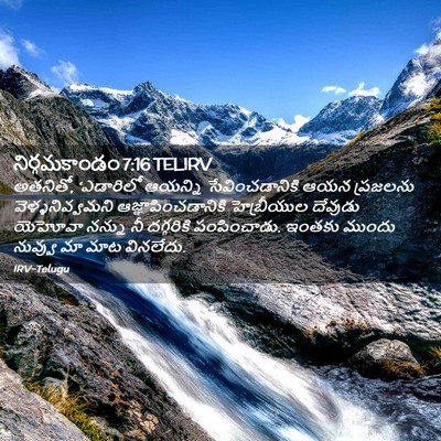 Picture 02 - నిర్గమకాండం 7:16 TELIRV - అతనితో, ‘ఎడారిలో - Bible Verse Picture