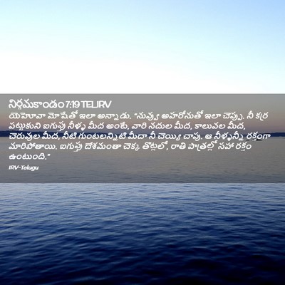 Picture 02 - నిర్గమకాండం 7:19 TELIRV - యెహోవా మోషేతో ఇలా - Bible Verse Picture