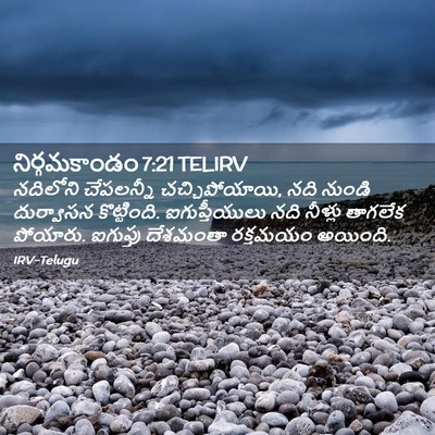 Picture 02 - నిర్గమకాండం 7:21 TELIRV - నదిలోని చేపలన్నీ - Bible Verse Picture