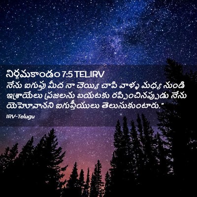 Picture 02 - నిర్గమకాండం 7:5 TELIRV - నేను ఐగుప్తు మీద - Bible Verse Picture