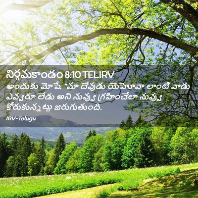 Picture 02 - నిర్గమకాండం 8:10 TELIRV - అందుకు మోషే “మా - Bible Verse Picture