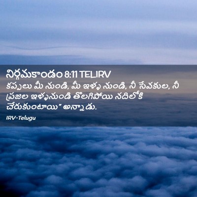 Picture 02 - నిర్గమకాండం 8:11 TELIRV - కప్పలు మీ నుండి, మీ - Bible Verse Picture