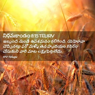 Picture 02 - నిర్గమకాండం 8:15 TELIRV - ఇబ్బంది నుండి - Bible Verse Picture