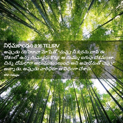 Picture 02 - నిర్గమకాండం 8:16 TELIRV - అప్పుడు యెహోవా - Bible Verse Picture