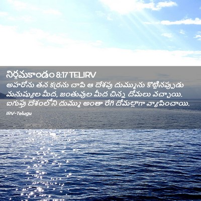 Picture 02 - నిర్గమకాండం 8:17 TELIRV - అహరోను తన కర్రను - Bible Verse Picture