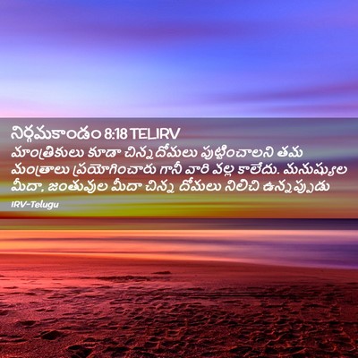 Picture 02 - నిర్గమకాండం 8:18 TELIRV - మాంత్రికులు కూడా - Bible Verse Picture